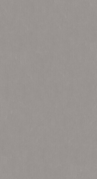 ELEMENTS  DESIGN GREY 60X120 R10 60X120RT ,арт.95A0