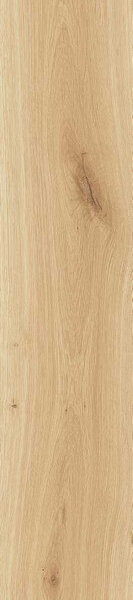 JOURNEY  ALMOND 20X120 R920X120RT ,арт.F1HS