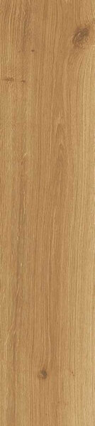 JOURNEY  HONEY 20X120 R9 20X120RT ,арт.F2HS