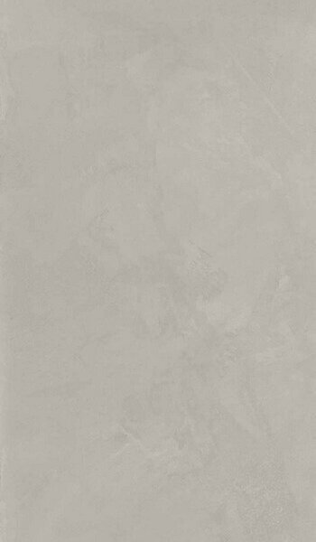 SYNTECH  SILVER R9 60X120RT ,арт.IDD3