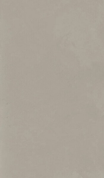 SYNTECH  TAUPE R9 60X120RT ,арт.IDD4