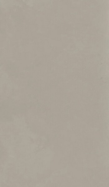 SYNTECH  TAUPE R9 30X60 RT ,арт.IDI4